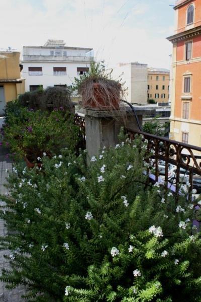 Eleven Apartment Rome Extérieur photo